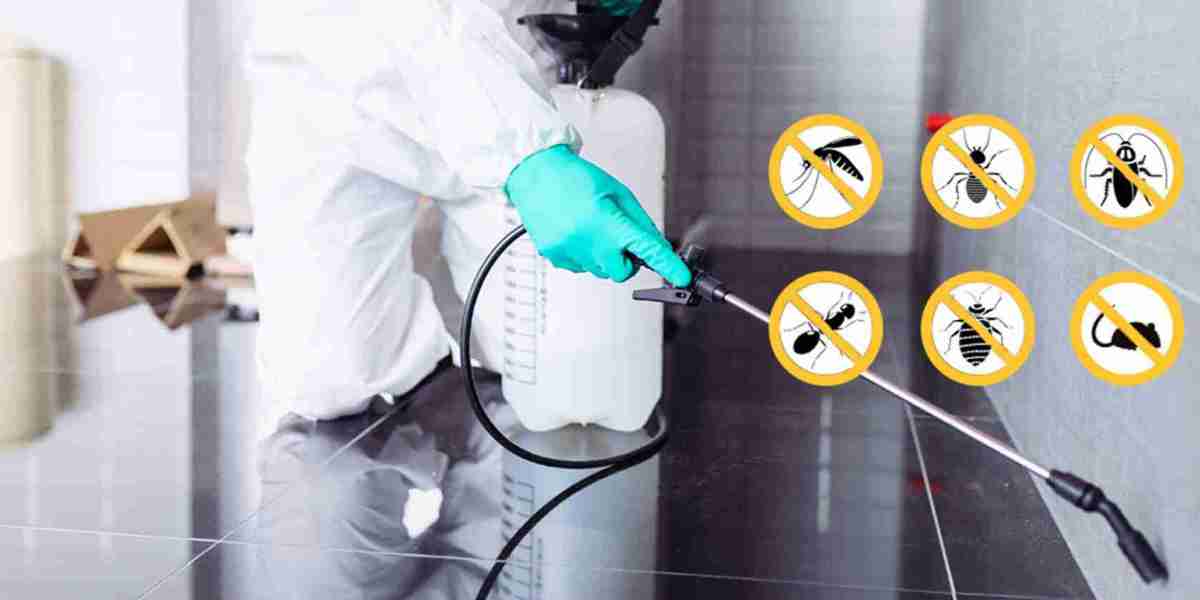 Steps to Take Before a Pest Control Service Visit to Ensure the Best Results