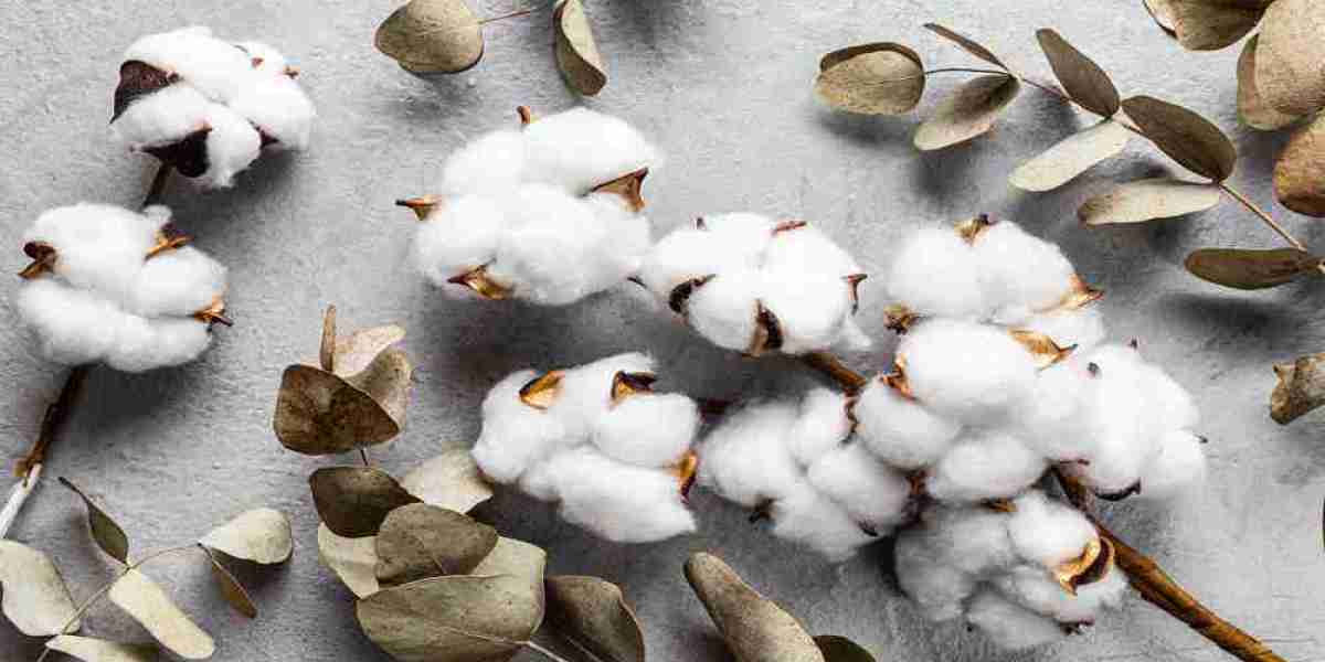 What Are Today's ICE Cotton Prices Telling Us?