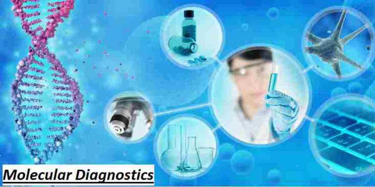 Comprehensive Report on Latin America Molecular Diagnostics Market Forecast to 2031 - Meticulous Research