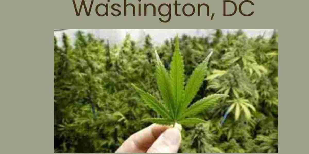 Exploring Recreational Marijuana Dispensaries in Washington, DC