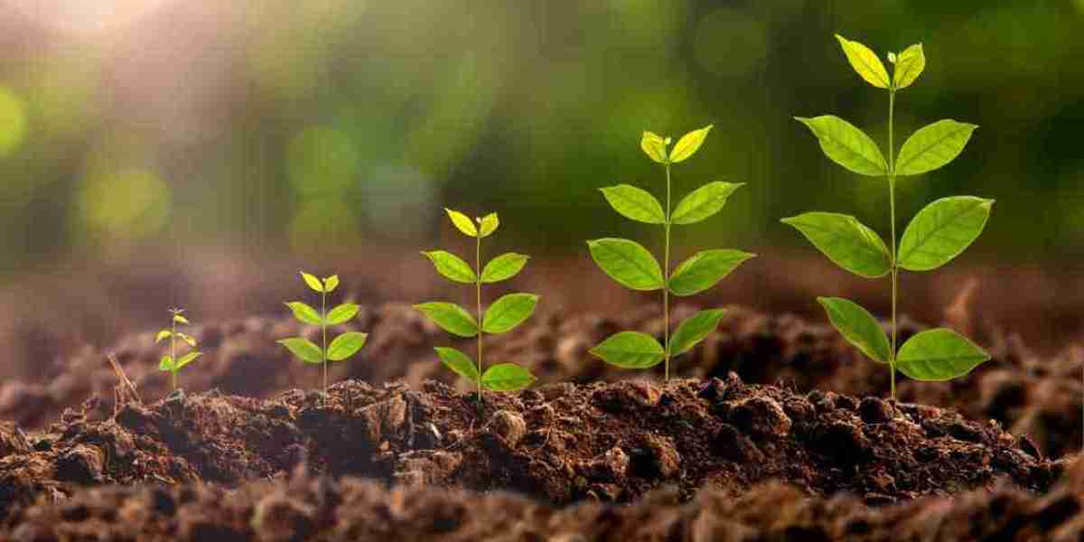 Plant Growth Regulators Market Is Booming Worldwide