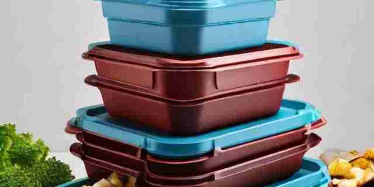 Disposable Food Container Manufacturing Plant 2024: Business Plan, Project Report, Plant Setup, and Industry Trends