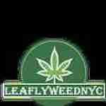 Leaflyweed NYC