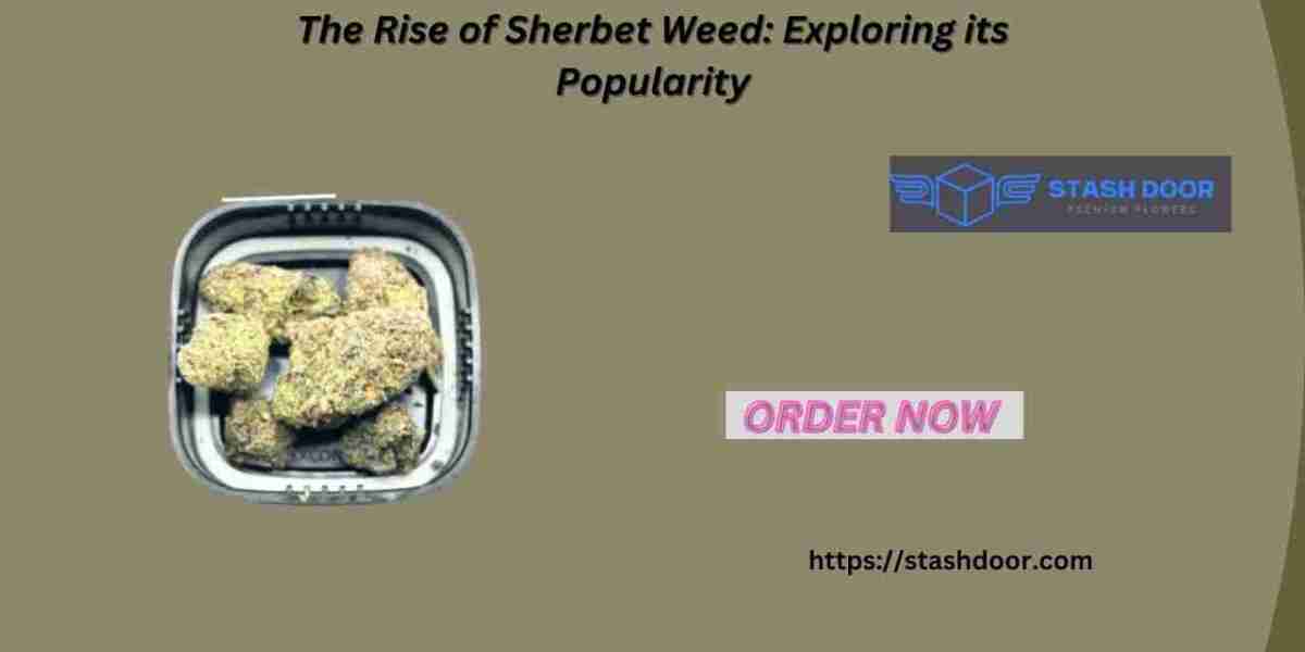 The Rise of Sherbet Weed: Exploring its Popularity