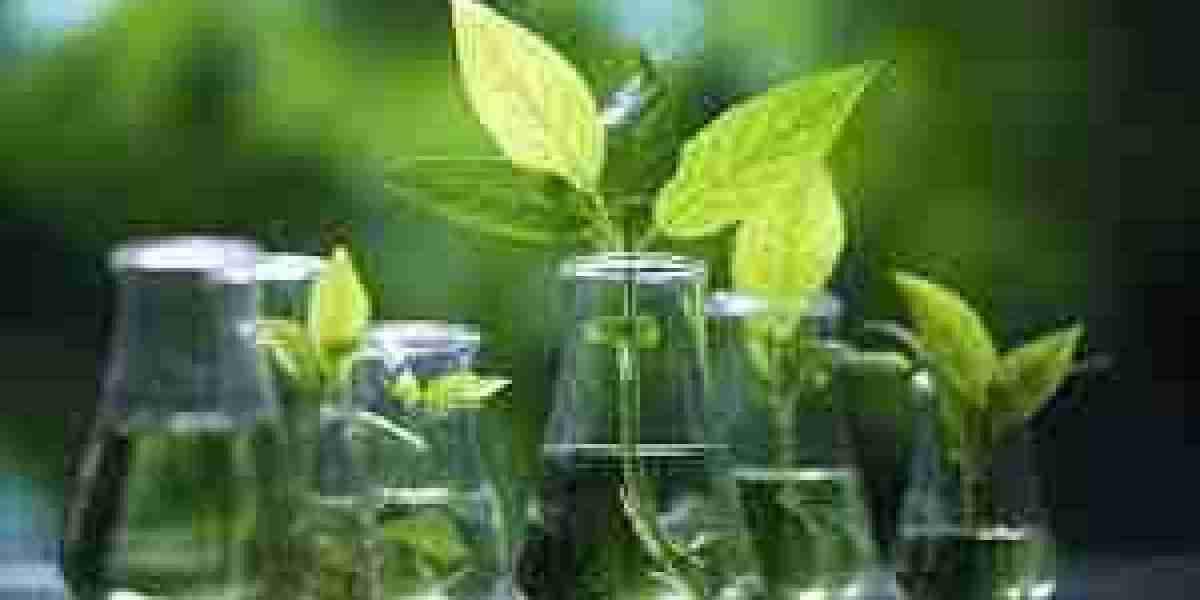 Plant Biotechnology Market SWOT Analysis by Size, Status and Forecast to 2024-2032