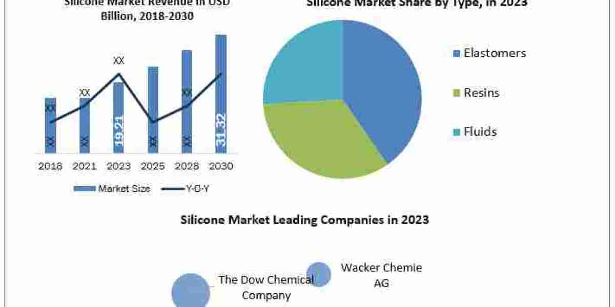Silicone Market Insight 2030 Report on Forecasting Trends, Growth, and Opportunities
