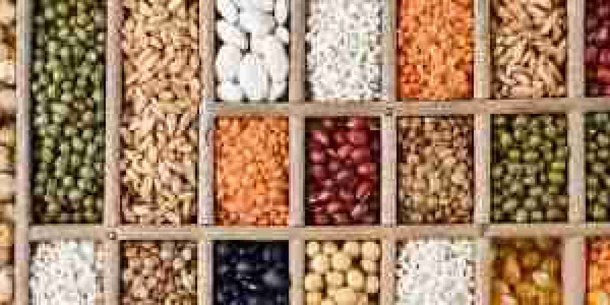 Organic Seeds Market Overview, Demand, New Opportunities & SWOT Analysis by 2028