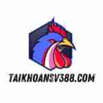 NHÀ CÁI ĐÁ GÀ SV388