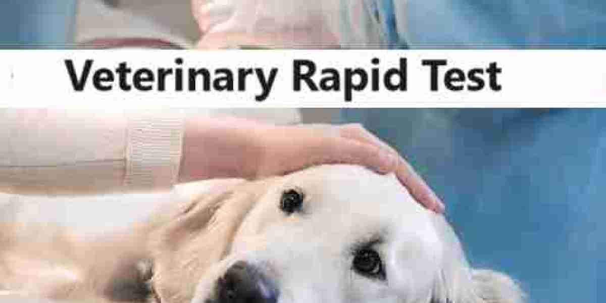 Veterinary Rapid Test Market Size, Share, Regional Overview and Global Forecast to 2032