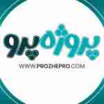 Prozhe Pro11