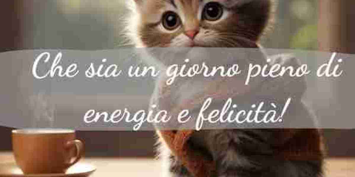 Immagini Buongiorno Venerdì Nuove: Un Tocco di Freschezza per il Tuo Giorno