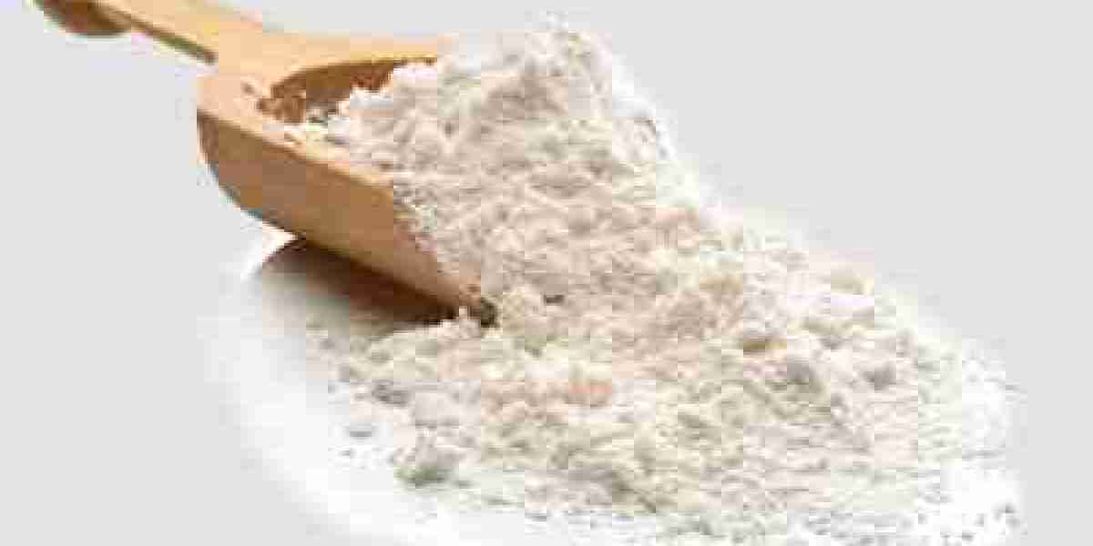 Probiotic Supplements: Unlocking Digestive Health and Immunity