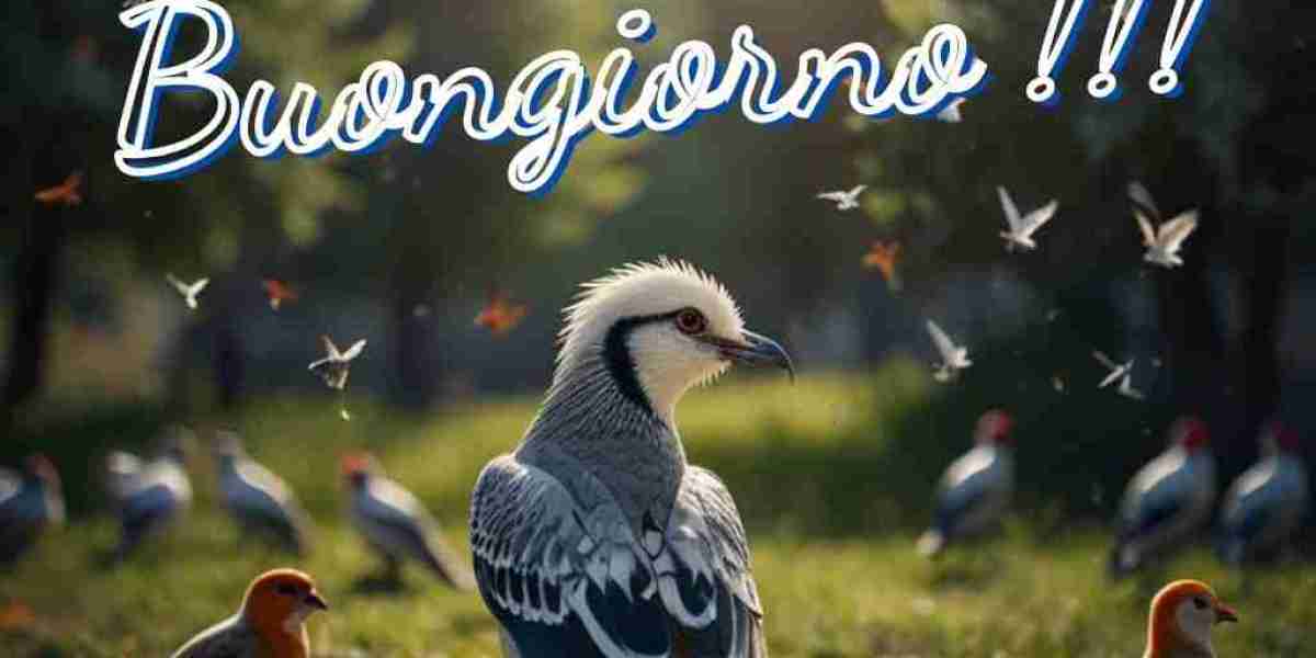 Il Fascino della Tradizione Italiana: Il Festival dei Falchi nelle Marche