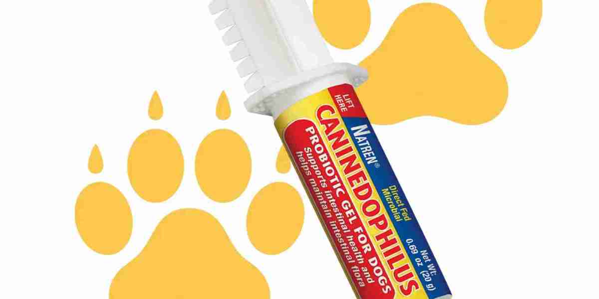 The Benefits of Probiotics for Dogs and Cats: What Every Pet Owner Should Know