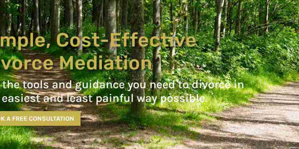 Figuring out the Job of Mediation in San Diego: A Complete Aide!