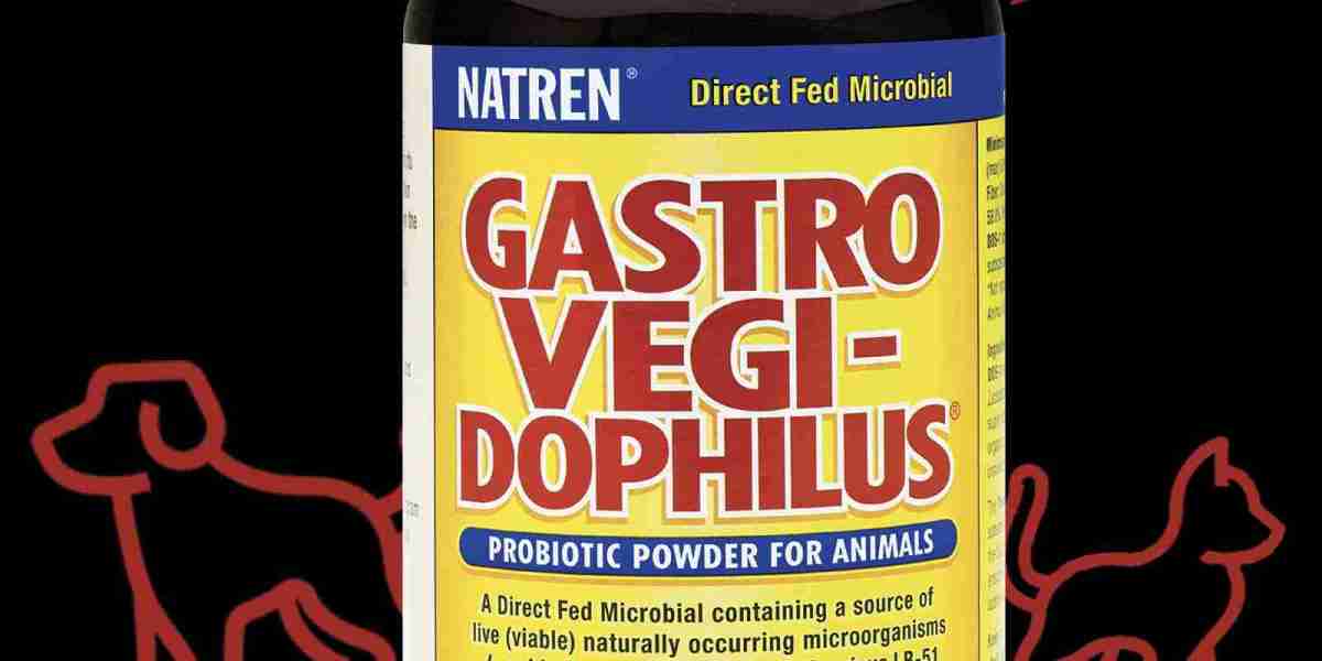 How Probiotics Can Help Your Pet with Digestive Issues