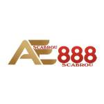 AE888 scabrou