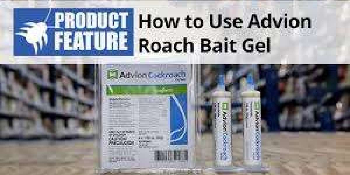 Cockroach Infestation Fix A Guide That Works