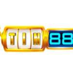 Tin88