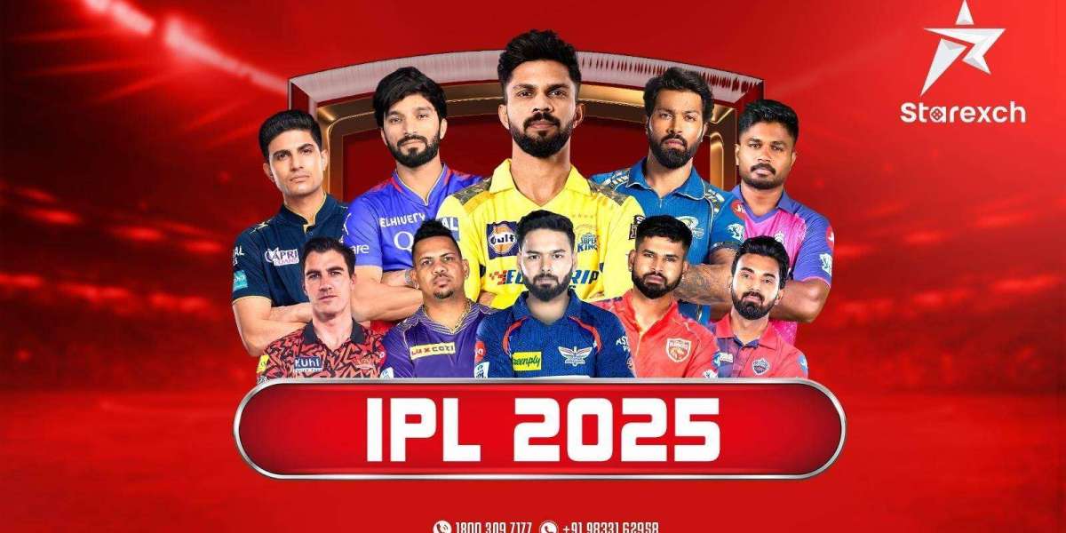 Which IPL team has the most loyal fans?