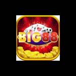 big88 wiki