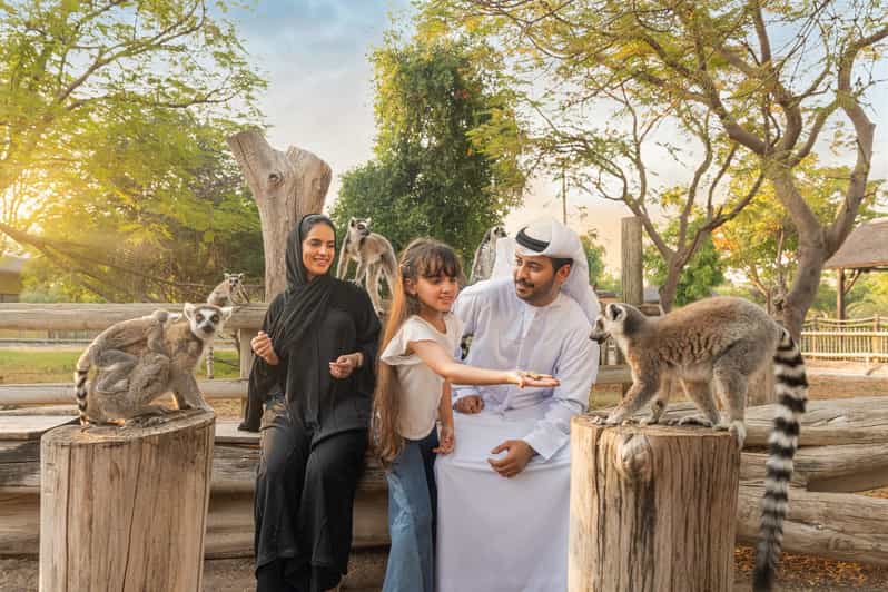 10 Fun Activities for Kids at Dubai Safari Park