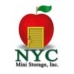 nycministorageny