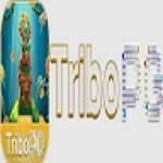 TRIBOPG
