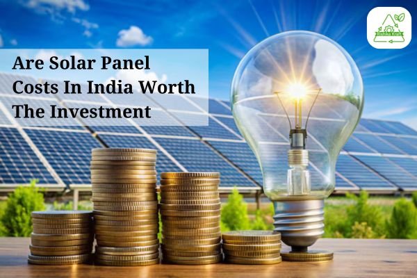 Are Solar Panel Costs In India Worth The Investment