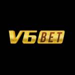 V6****