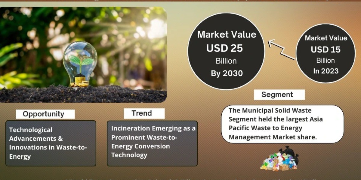 Global Asia Pacific Waste to Energy Management Poised for 7% CAGR Growth Through 2030