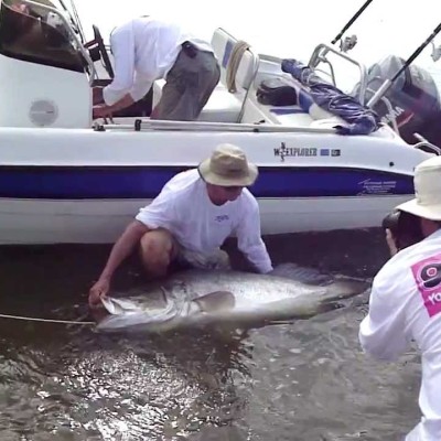 10-Day Luxury Rwanda Vacations with Sport Fishing in Uganda Profile Picture