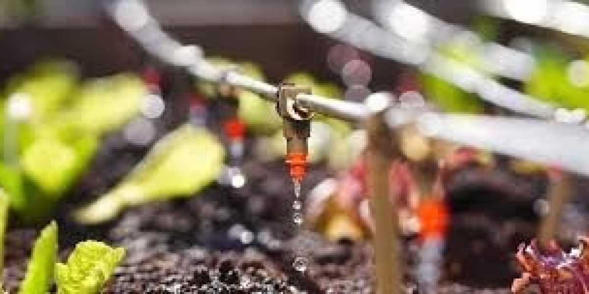Water-Soluble Fertilizer Market Outlook: Growth Trends and Future Opportunities (2021–2030)
