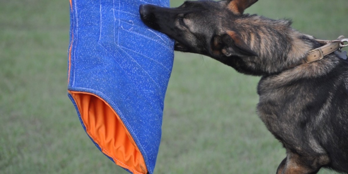 Personal Protection Dogs and Security Dogs for Sale: What You Need to Know Before Buying
