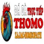 ĐÁ GÀ THOMO TRỰC TIẾP HÔM NAY TẠI CAMPUCHIA