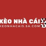 Kèo Nhà Cái 5 SA