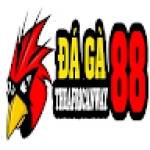 DAGA88 canway