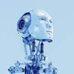 Responsible AI Framework Advisor