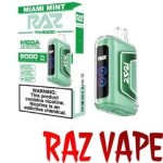 raz miami mint flavor
