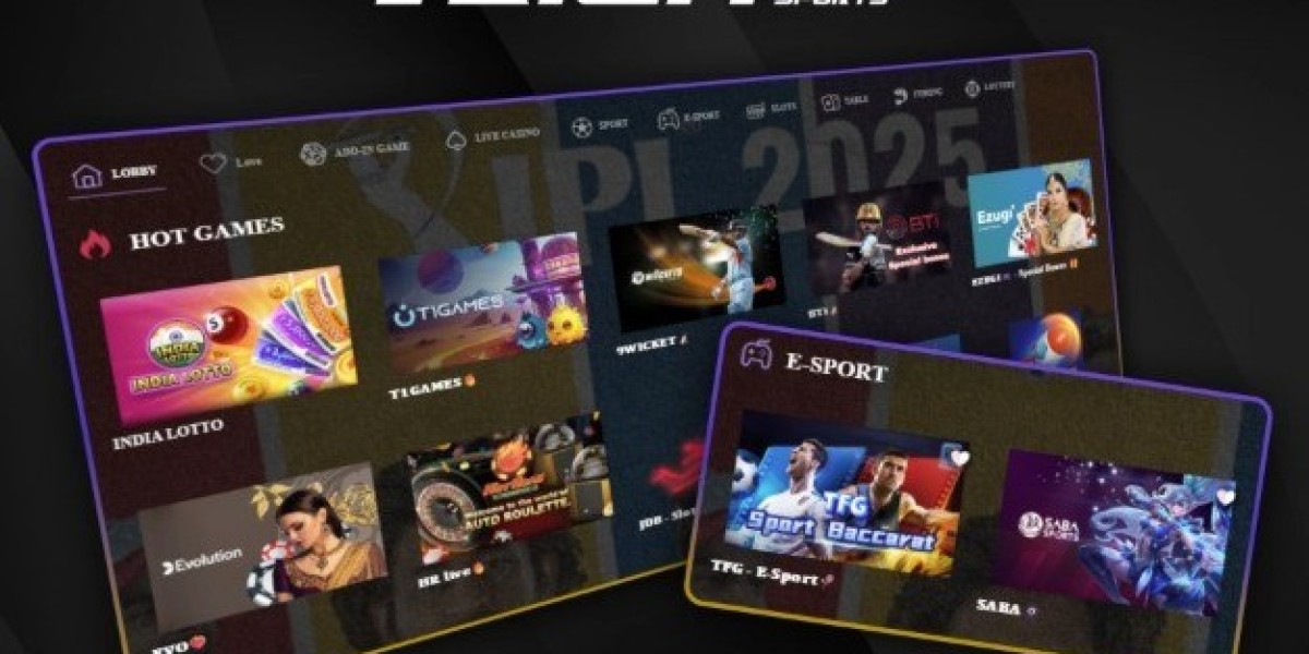 Exploring the Experience of Rich 11 Sports Bet
