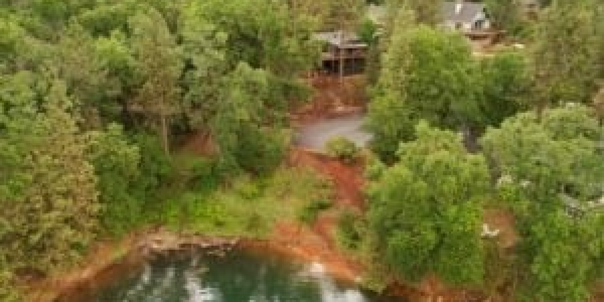 Shasta Lake Water Levels: Best Times of Year for Your Favorite Activities