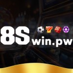 8swin pw
