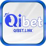 qi link
