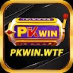 Pkwin wtf