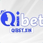 qi****xin qi****xin