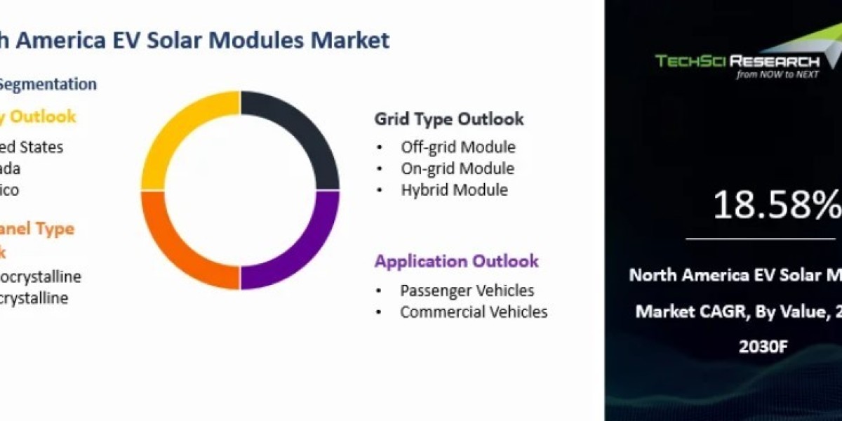 North America EV Solar Modules Market Growth Fueled by Technological Advances