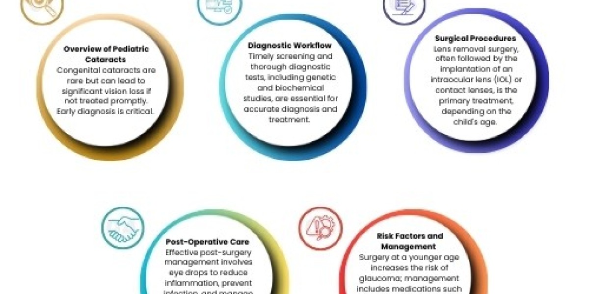 Comprehensive PhD Dissertation Literature Review Support for Academic Excellence