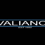 valiance automotive