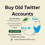 Buy Aged Twitter Accounts