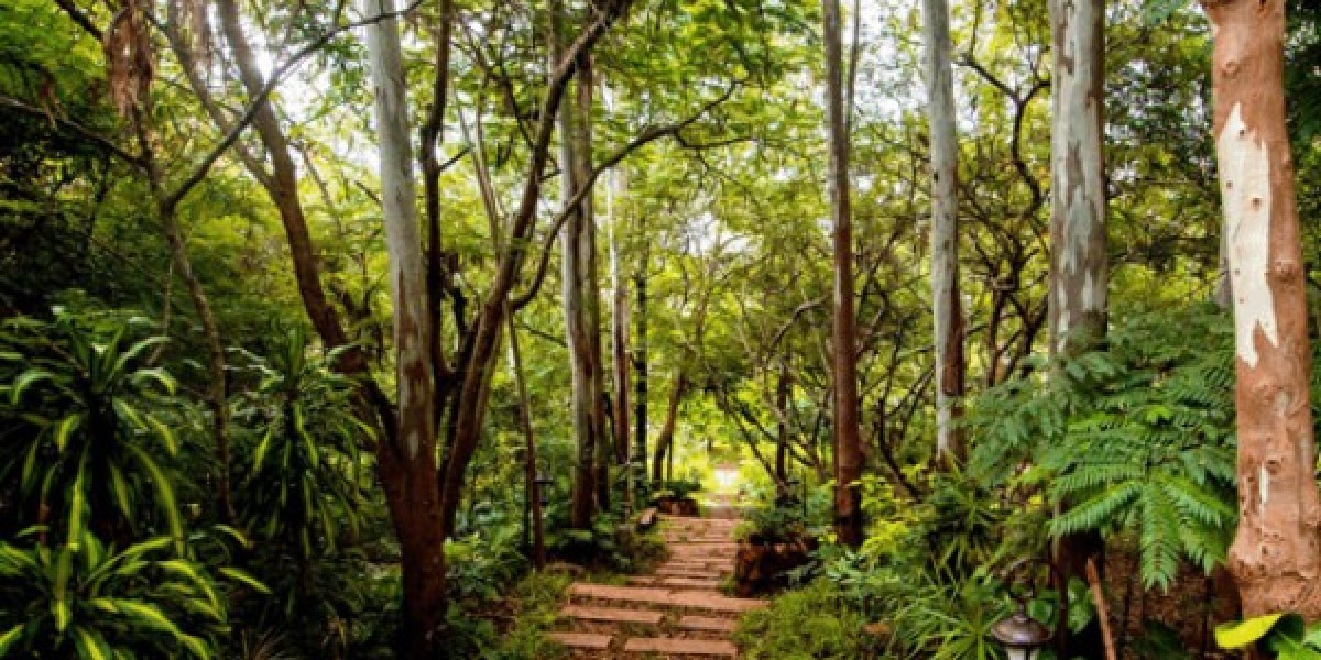 Best Resorts in Bangalore for Night Stay with Exciting Adventures